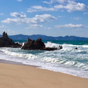 福井美人誕生計画への思い